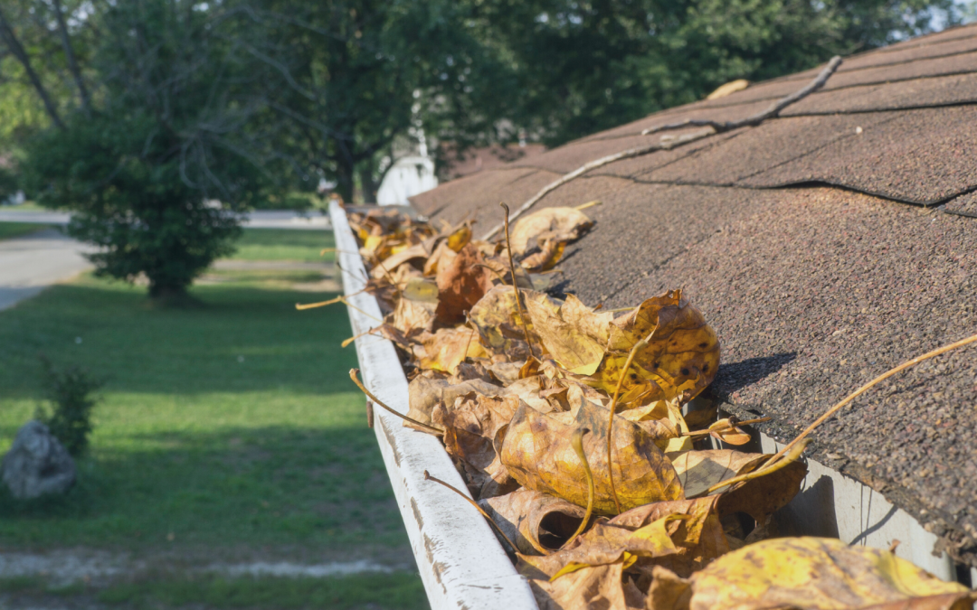 How Cleaning Your Gutters Can Save Your Wood Floors