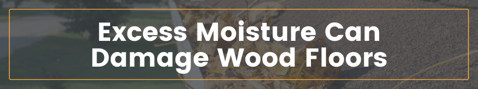 Graphic header about how excess moisture can damage hardwood floors