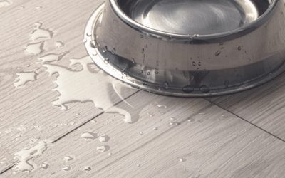 What are the different types of waterproof flooring?