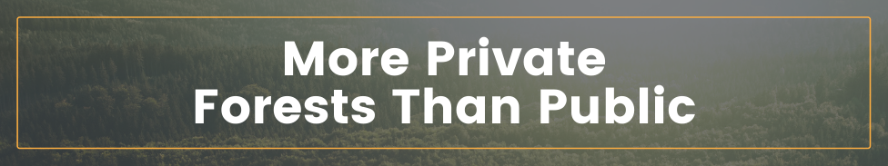 More private forests than public forests